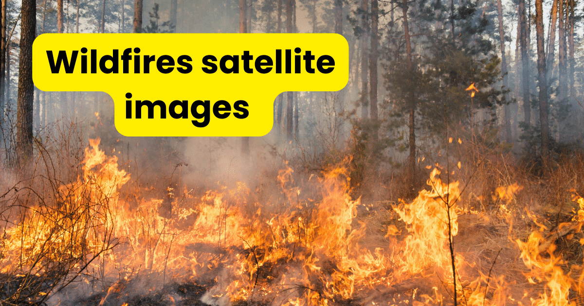 Wildfires satellite images