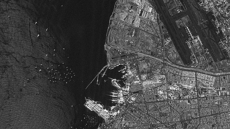 X-band and L-band SAR applications