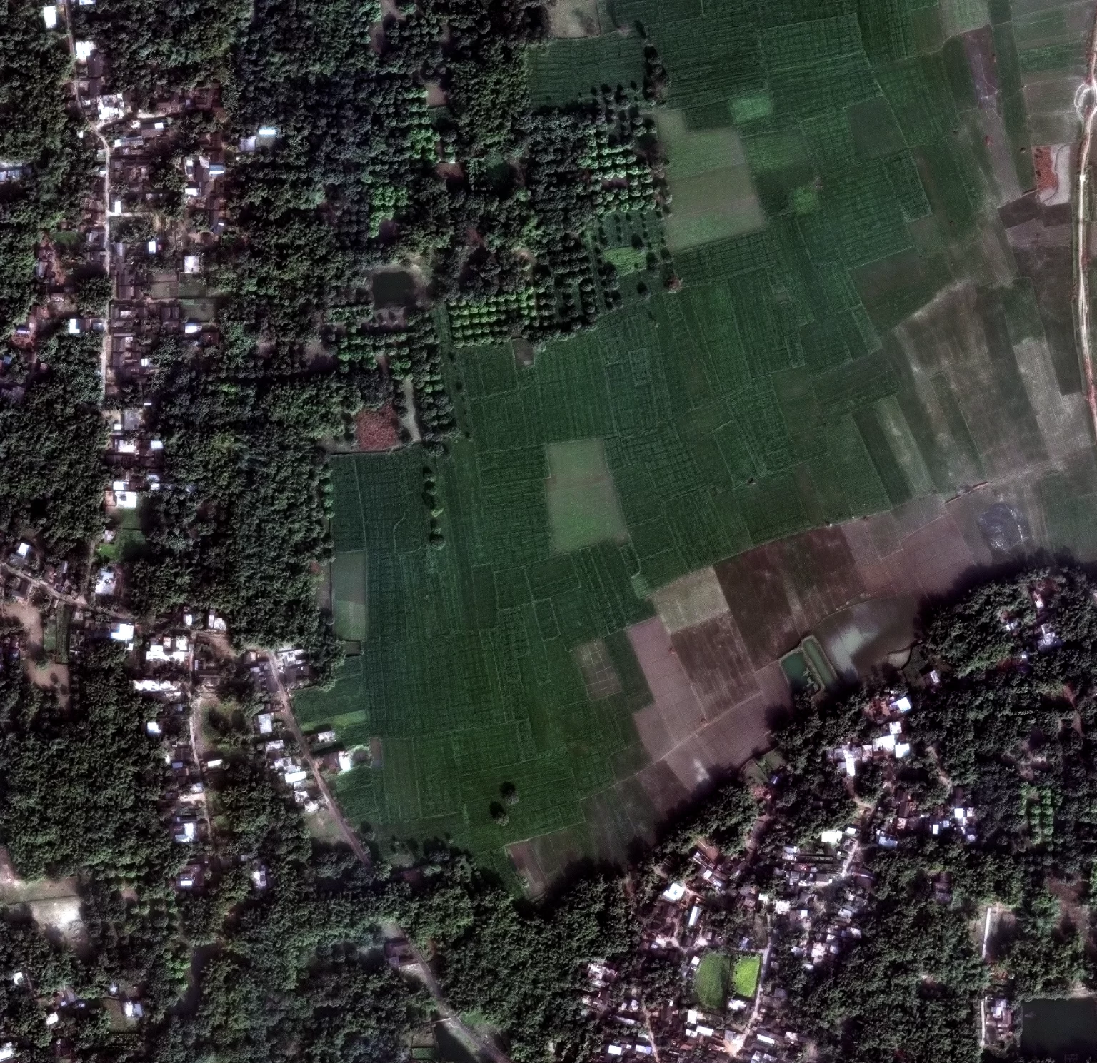Amdabad, Bihar, Satellite imagery, Satellite images,