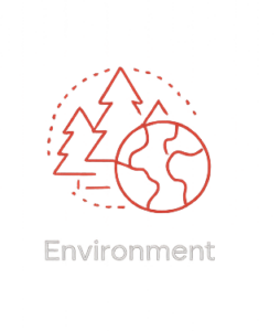 environ